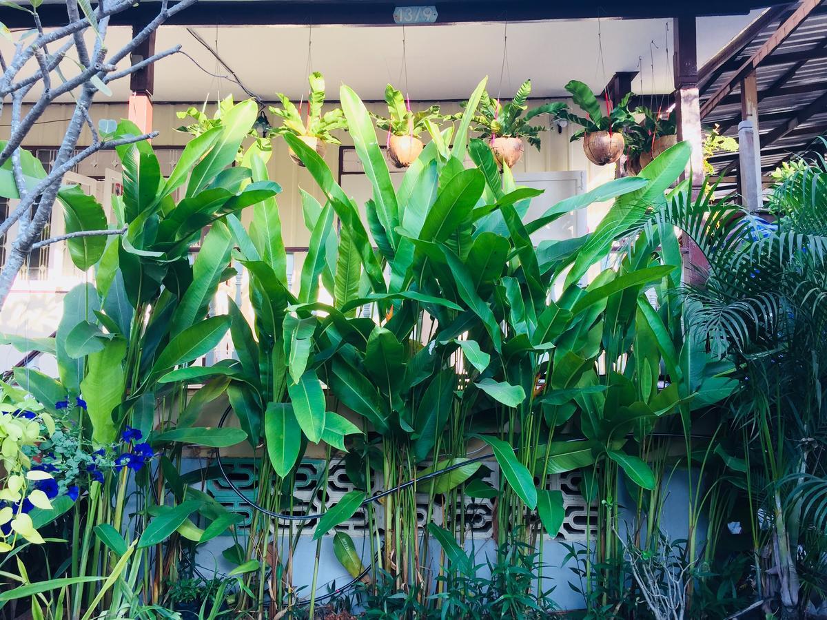 Goodmorning By Tamarind Hostel พระนครศรีอยุธยา ภายนอก รูปภาพ